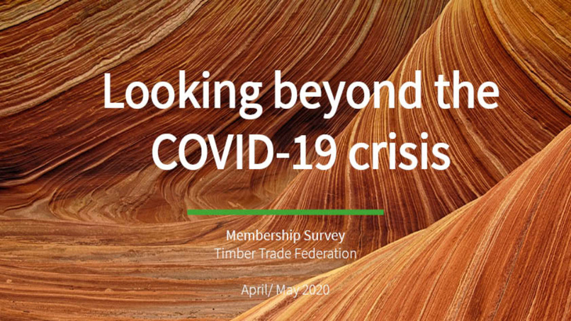 Report shows timber supply chain well prepared to support construction