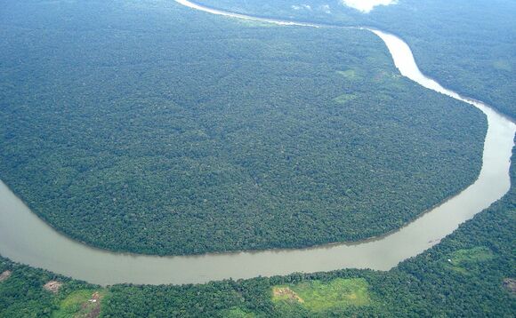 The Amazon is under threat from deforestation  