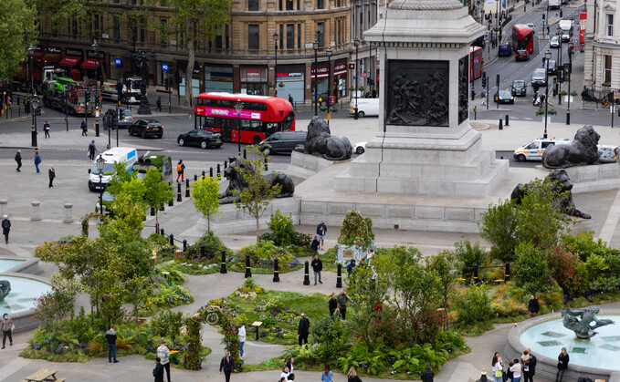 Innocent Drinks' Big Rewild installation in Trafalgar Square this morning / Credit: David Parry/PA Wire