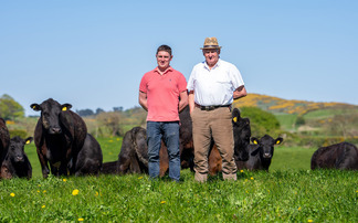 The Northern Irish family achieving premium returns on a low-input, grass-based beef system