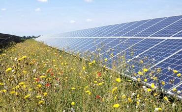 Green cheese: Lightsource BP completes 5MW solar project for Cathedral City dairy - Vimarsana News