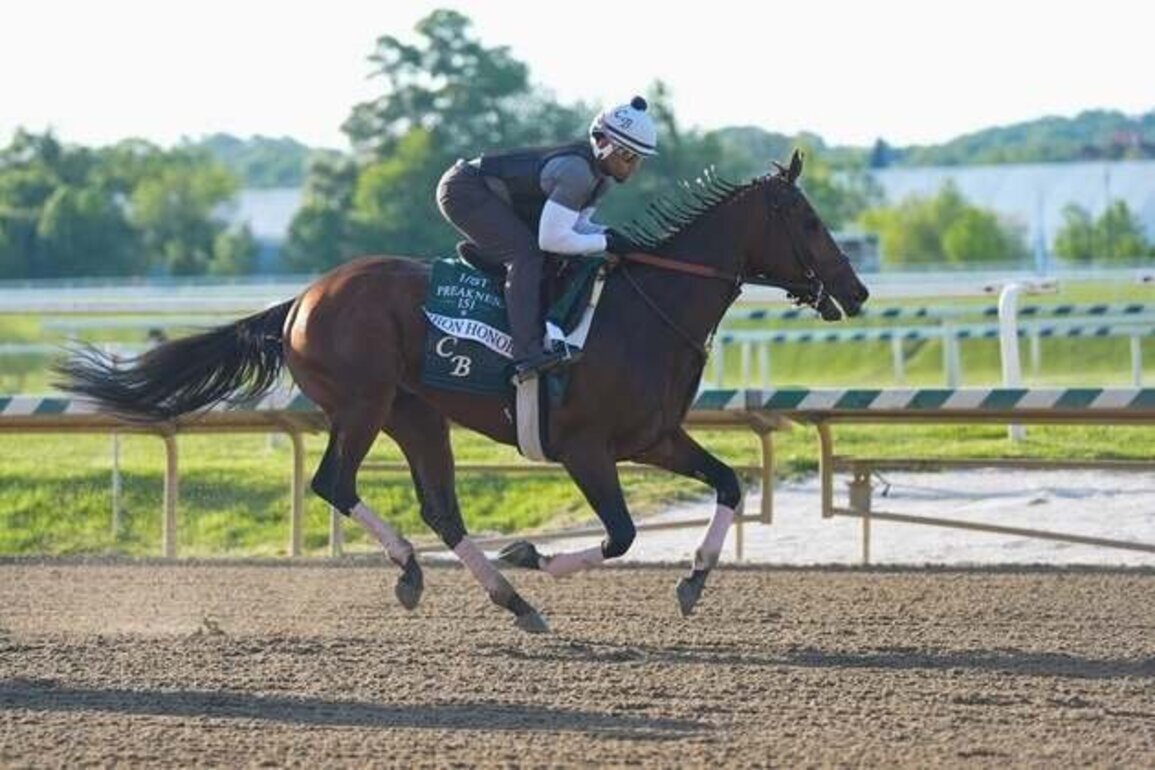 Iron Honor minor favorite for rare full-field Preakness Stakes