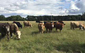 Defra pays £650k for staff to learn about farming