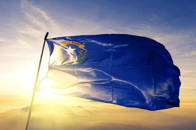 Nevada law sets up minor guardianship process in case of deportations  and Government