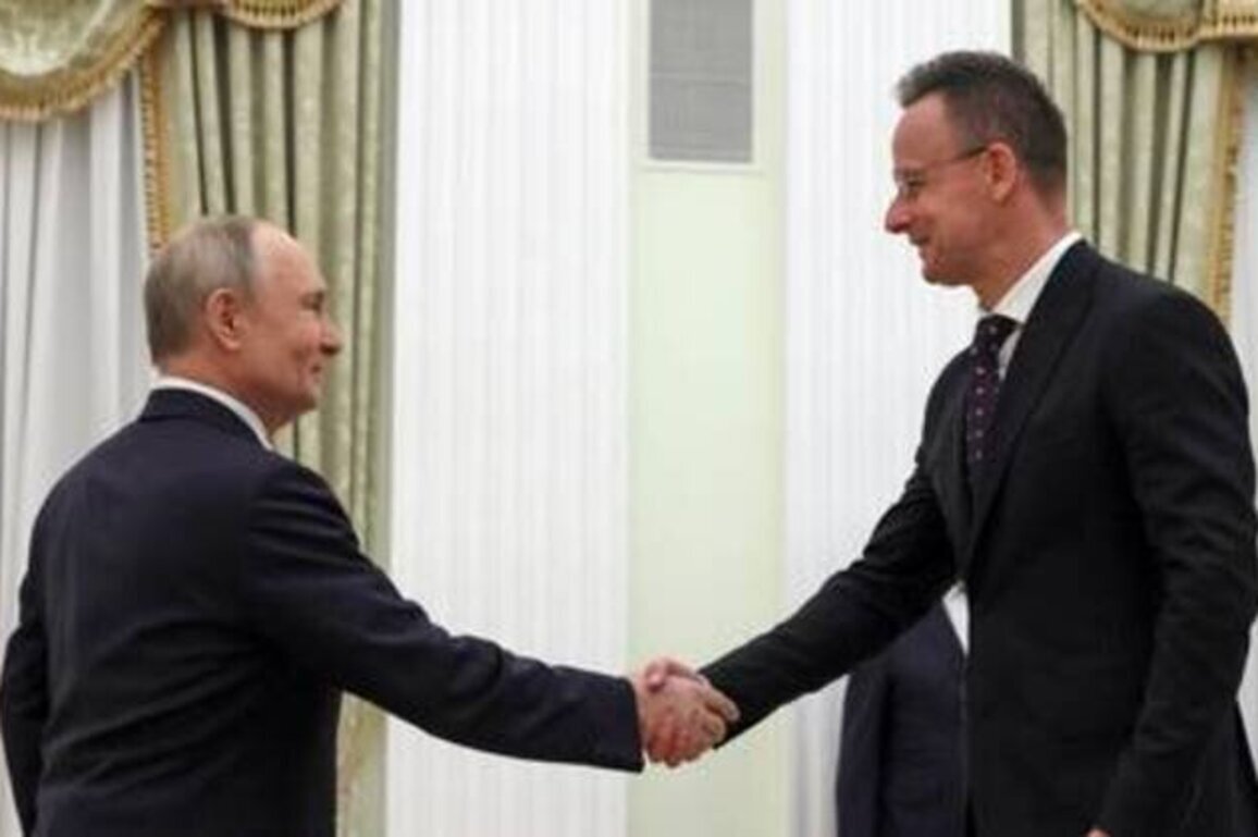 Russia will return two Hungarian-Ukrainian POWs - Putin