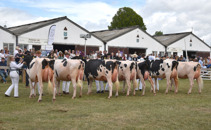 Great Yorkshire Show: Holstein takes dairy inter-breed title