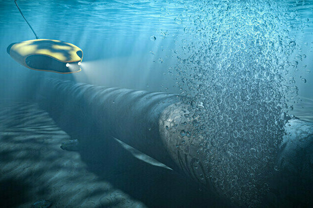 Poland blocks German Nord Stream sabotage probe