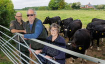 Castle family's seven-generation legacy underpins British Friesian herd