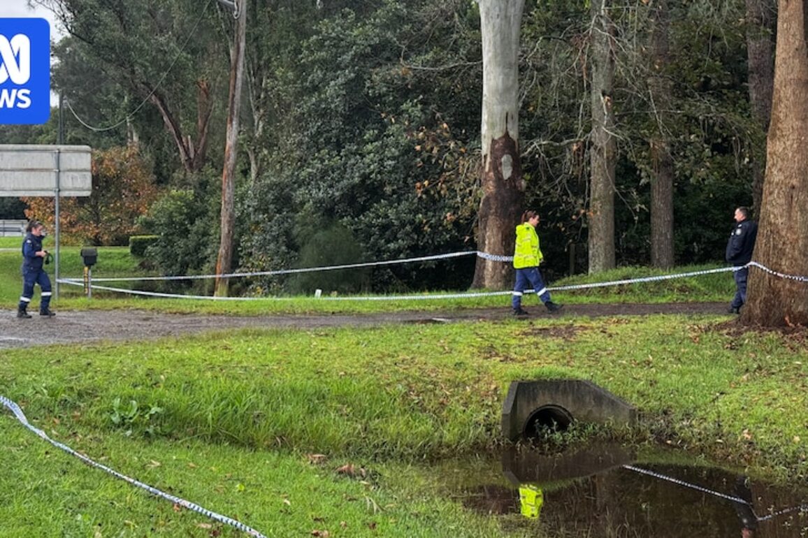 Woman found with serious burns dies after car fire at Salt Ash