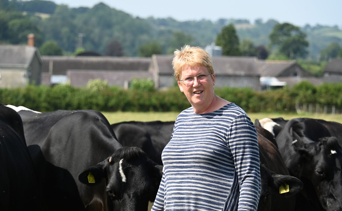 Plaid Cymru MP Ann Davies said: "Farmers are left to pick up the pieces, financially and operationally, while also dealing with the emotional strain of losing animals they have cared for. It is evident that current legislation fails to provide adequate protection for livestock against such attacks."