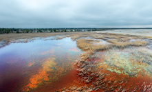  Historic mining released toxins that will likely devastate the health of populations living on floodplains