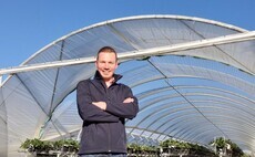 Dan Hawes: "Getting behind isn't an option when the numbers are date-critical to grow a good-quality plant for our customers"