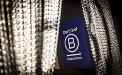 Study: Broader adoption of B Corp standards could reduce global warming by 0.5C