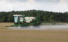 EU extends glyphosate use for further 10 years
