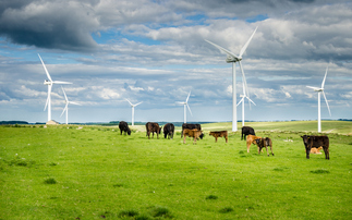 'Better late than never': Farmers to be offered one-year extension to Countryside Stewardship agreements
