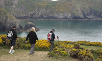 RDT's CEO completed coastal path challenge