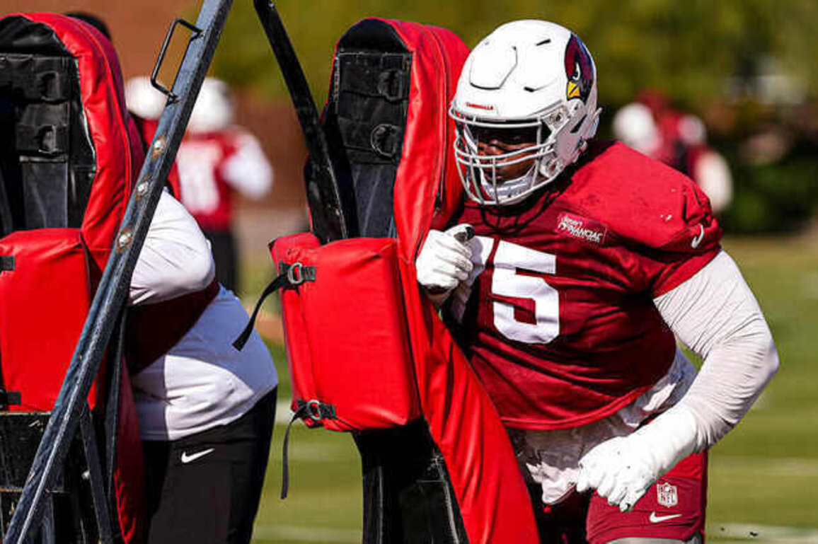 Cardinals Activate Christian Jones, Put Bilal Nichols On IR