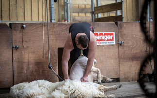 Renowned shearer, Matt Smith: "We are seriously motivated to go the extra mile to win this time"