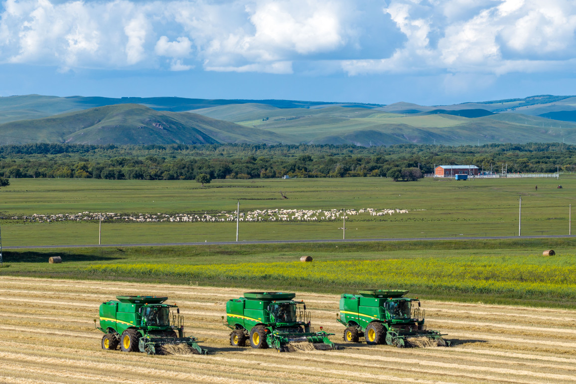 CHINA-INNER MONGOLIA-HULUN BUIR-ERGUN-WHEAT-HARVEST (CN)