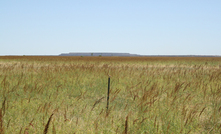 Mining underway at Mt Margaret