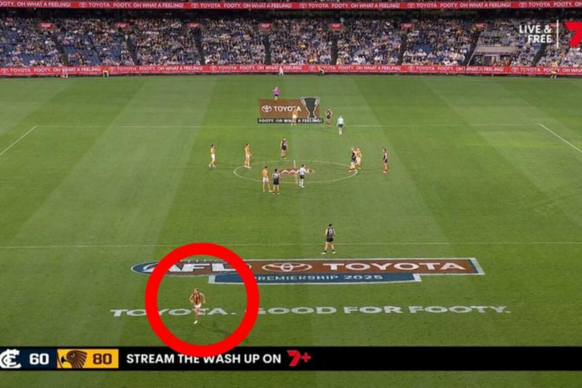 Hawthorn caught with too many players on the field during win over Carlton