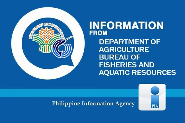 Cebuano News: BFAR PFO mipatinuod sa SAAD sa mga mananagat