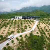 EconomyInFocus | Premium waxberries exported via air to Frankfurt from east China's mountainous county