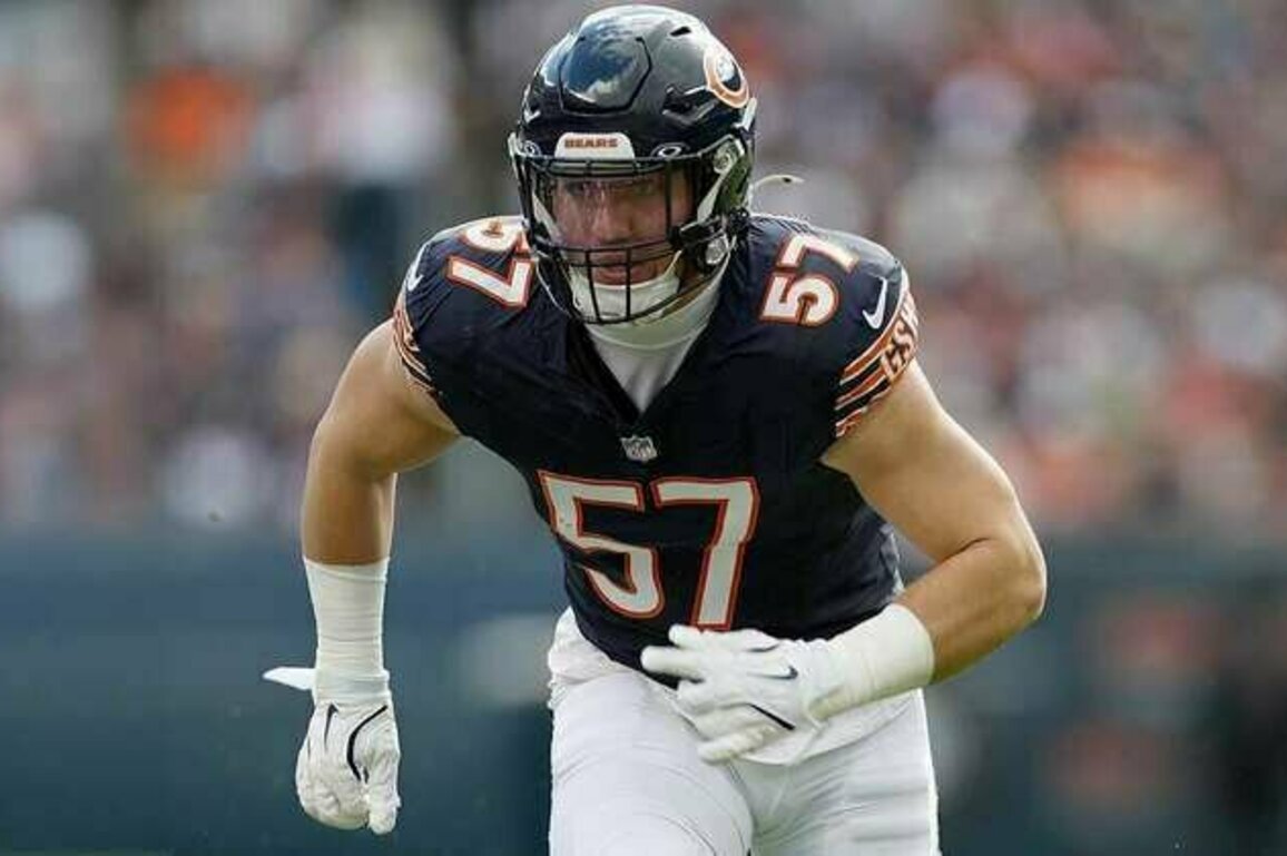 Cowboys agree to terms with former Bears LB Jack Sanborn