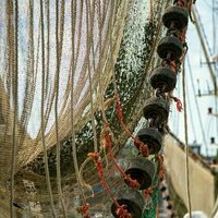 David Attenborough's Ocean reveals how bottom trawling is hurting sealife in horrifying detail