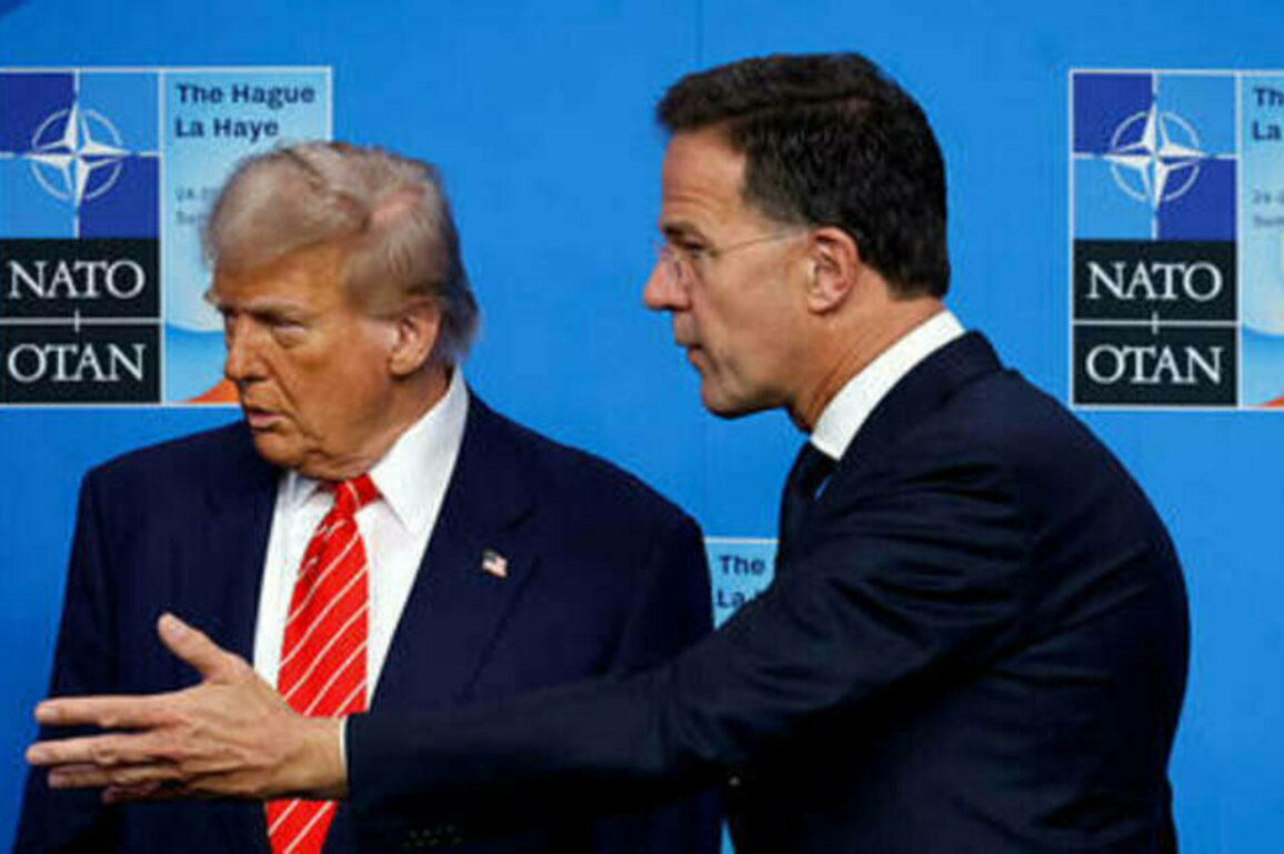 NATO boss calls Trump 'daddy'