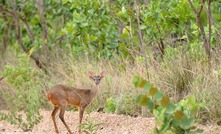 Ações envolvem crimes ambientais, contra a fauna e poluição/Reprodução