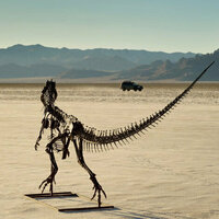 Why it's not a problem that dinosaurs are sold for millions of dollars - art historian