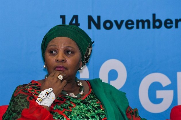 Pay cut or not: DA to &#039;grill&#039; Mapisa-Nqakula on Zim flight