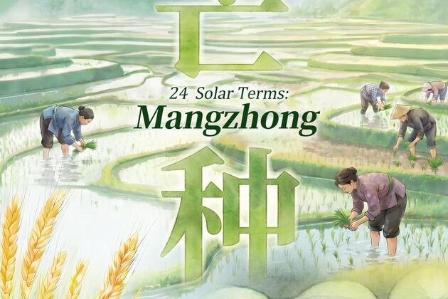 Posters: How the Chinese observe traditional solar term of Mangzhong
