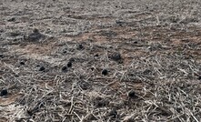 The GRDC has announced a major project looking at soil health including standards of measurement.