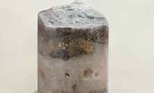 Visible gold in drill core from Yaraguá