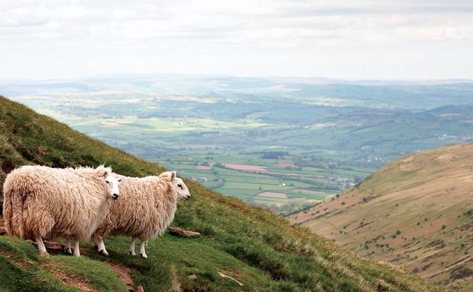 'Reality check' needed on future funding for Welsh farming, says Minister 