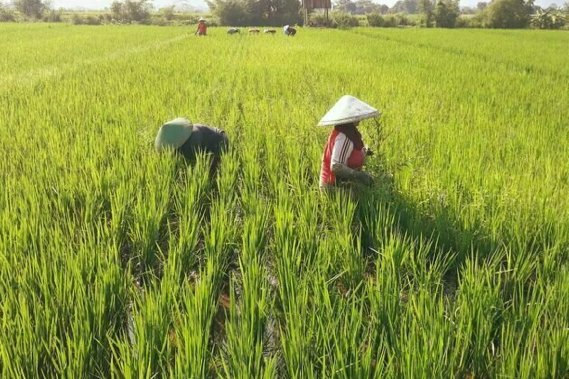 Tidak perlu latah negara lain, Indonesia bisa unggul jika fokus pada riset tumbuhan