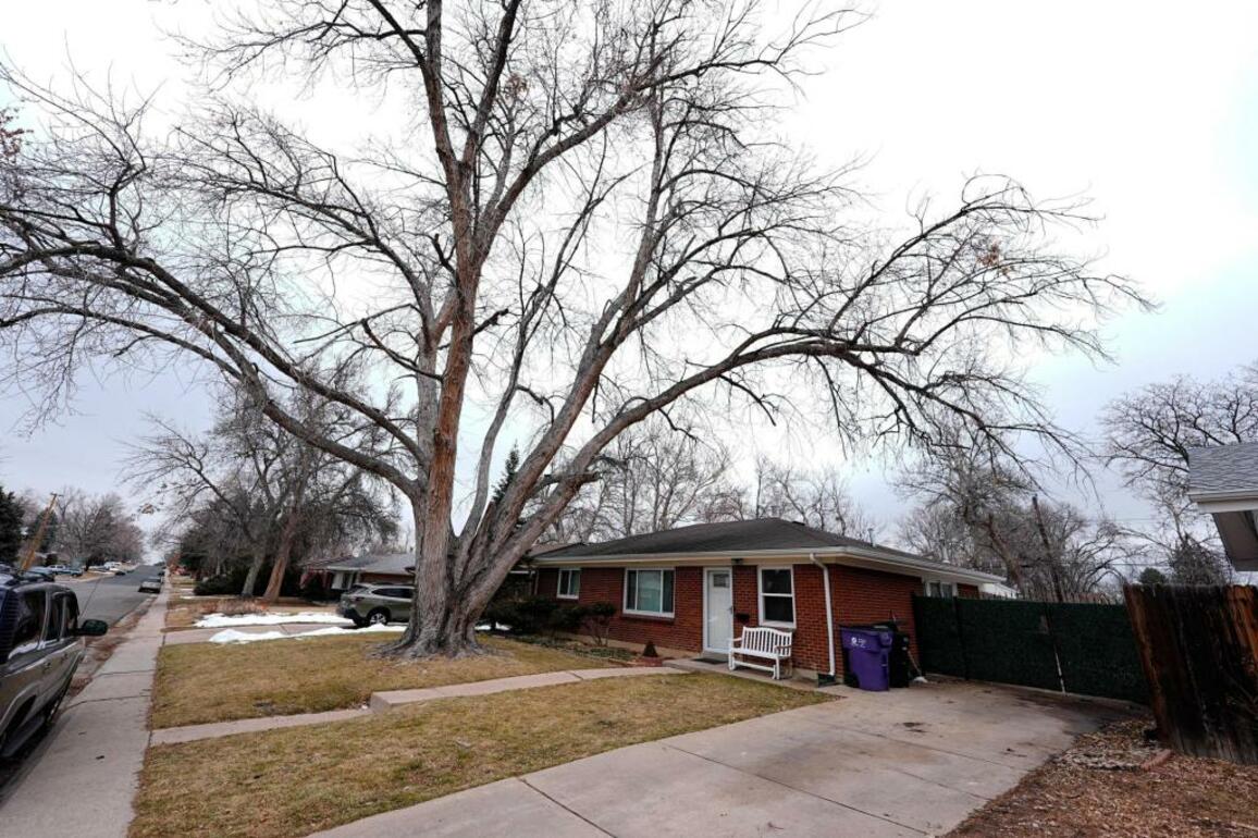 Funeral home owner who left corpse in hearse for a year pleads guilty