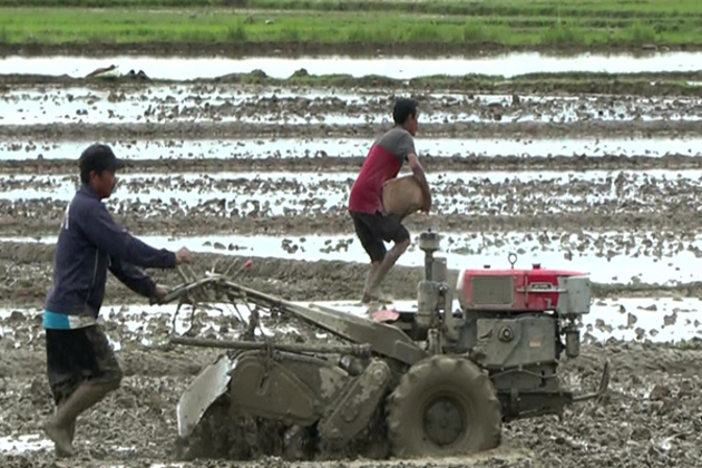 Manipur's rural economy withers as conflict keeps farmers away from fields