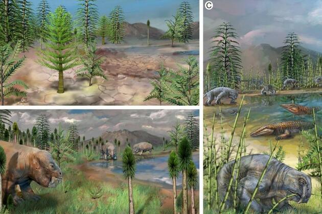 Study finds "oasis of life" thrived in NW China during Earth's worst mass extinction