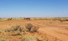  Lake Mackay locals