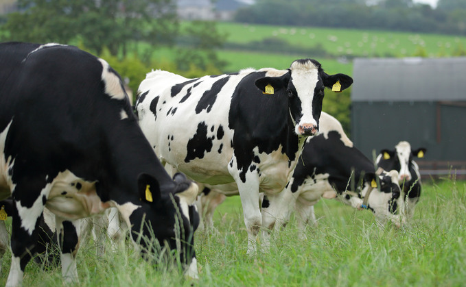 Grazing cows and sheep could be part of climate solution, says new report Grazing cows and sheep could be part of climate solution, says new report
