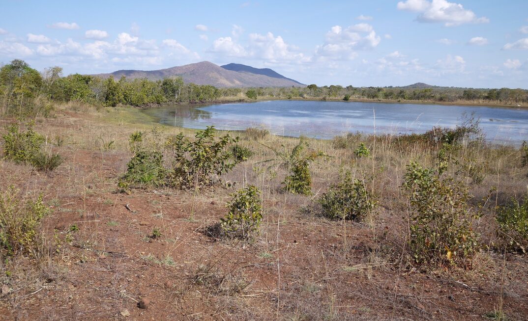 Alvo drills more copper-zinc at Touro discovery