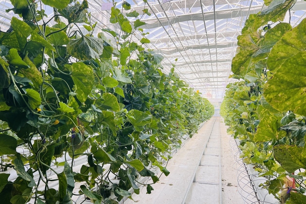 CHINA-XINJIANG-HAMI-AGRICULTURAL SCIENCE (CN)