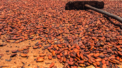 What El Niño means for agricultural commodities in 2026