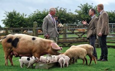 Prince Charles pledges royal support for rare breeds farm parks