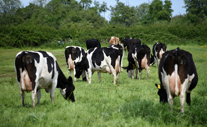 Scotland leads the way in organic farming as land continues to increase