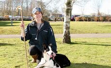 Sheepdog trialler profile: Breeding top dollar dogs with Emma Gray