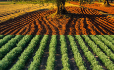 Partner Insight: Navigating Today's Markets with High Quality Experience